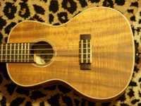 Ukulele tuner mp3, clickable photo of a kala ukulele by Anna